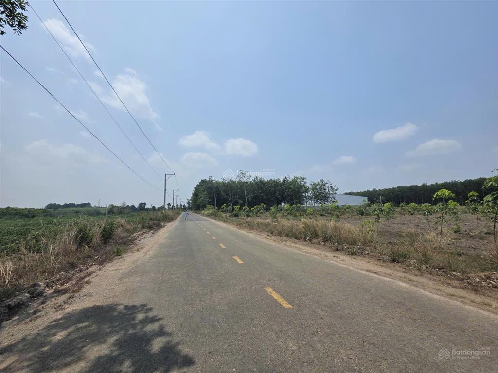 Bán lô đất 3.705m2 mặt tiền dh513 phú giáo, bình dương, qh phủ hồng, có thể lên đất ở