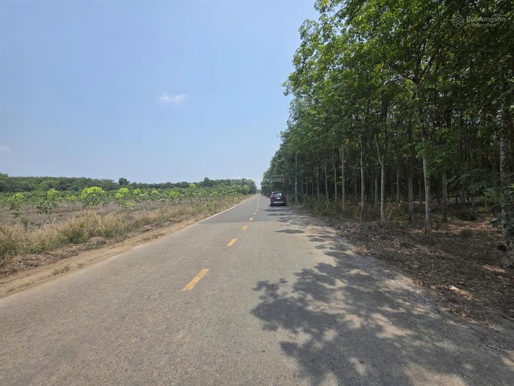 Bán lô đất 3.705m2 mặt tiền dh513 phú giáo, bình dương, qh phủ hồng, có thể lên đất ở
