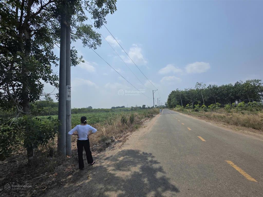 Bán lô đất 3.705m2 mặt tiền dh513 phú giáo, bình dương, qh phủ hồng, có thể lên đất ở