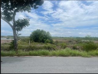 Bán đất mặt tiền đường dương văn hạnh view sông soài rạp 1501m2 giá chốt nhanh 2.5 triệu/m2