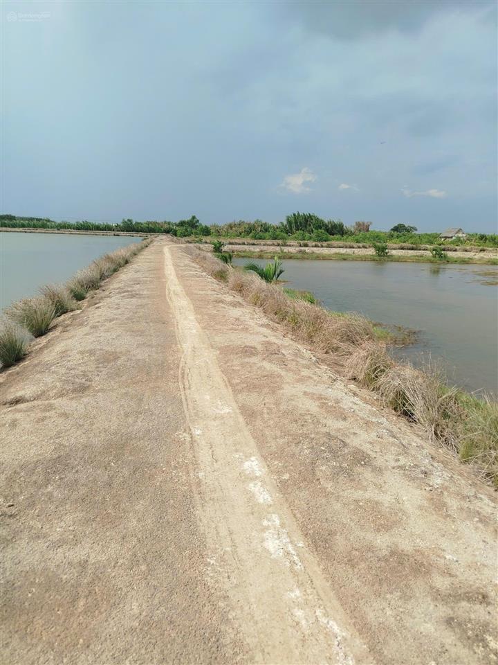 Bán đất đường rạch lá, xã an thới đông, diện tích 3705m2, giá 3,3 tỷ