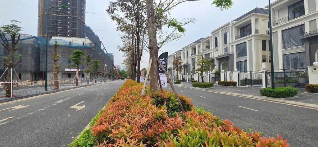 Bán biệt thự khu P Ciputra, Hà Nội. DT 120m2. Giá 50 tỷ