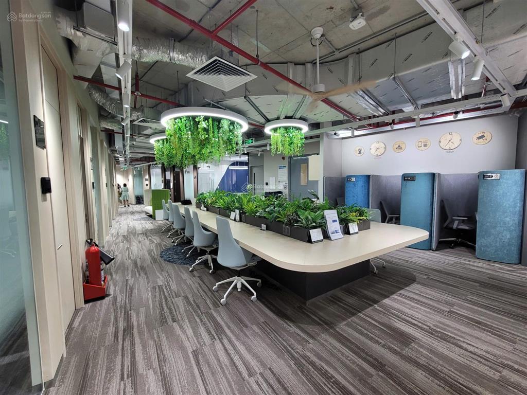 Văn phòng hạng a trọn gói nexus tôn đức thắng q1  từ 2 đến 50 nhân sự chỉ từ 10 triệu/th