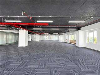 Chi office cho thuê văn phòng tại trương quốc dung  phú nhuận, 250 m2 chỉ 146 triệu