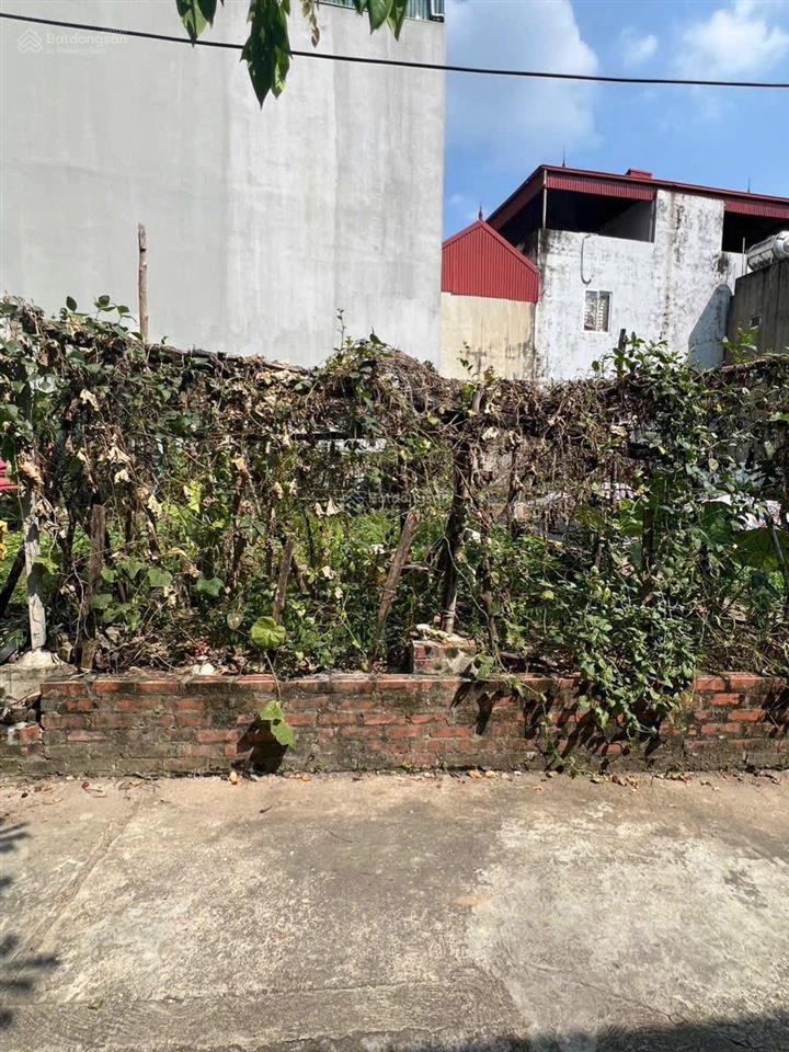 Bán mảnh đất đẹp ở thôn đản dị, xã uy nỗ, huyện đông anh, thành phố hà nội. diện tích 43,6m2