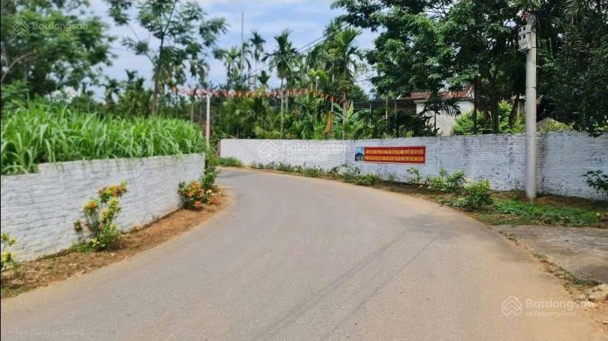 Chính chủ cần gửi bán 1910m^2 đất nghỉ dưỡng sát cạnh kdl đầm long, ba vì  sổ đỏ sẵn sàng