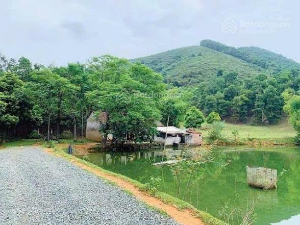 Bán đất tại khu đầm long, cẩm lĩnh, ba vì 1982m^2, sổ đỏ chính chủ, giá tốt đầu tư