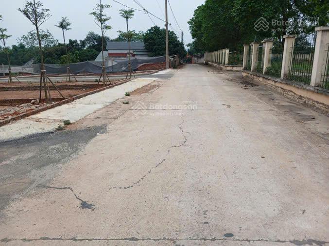 Bán đất tại khu đầm long, cẩm lĩnh, ba vì 1982m^2, sổ đỏ chính chủ, giá tốt đầu tư