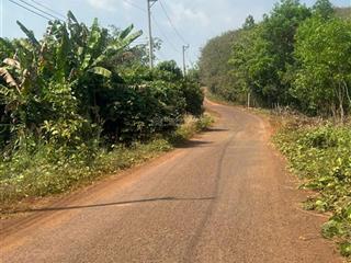 Cần bán 3700m2 đất vườn để trả lương tết giá 185tr/s, sổ riêng