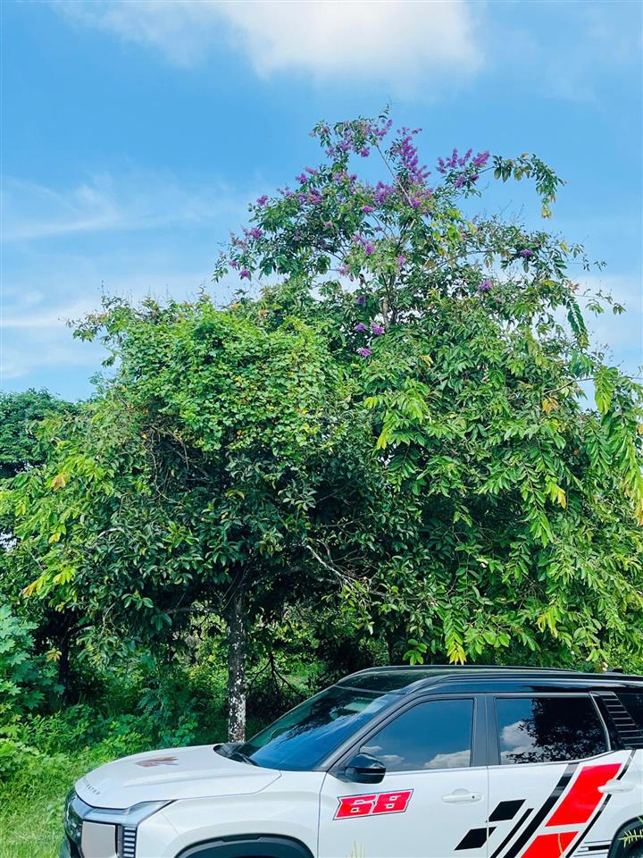 Bán 1200m2, có 22m mt giáp sông suối  đất full hồng  cách mekong resort long thành, ql 51 = 800m