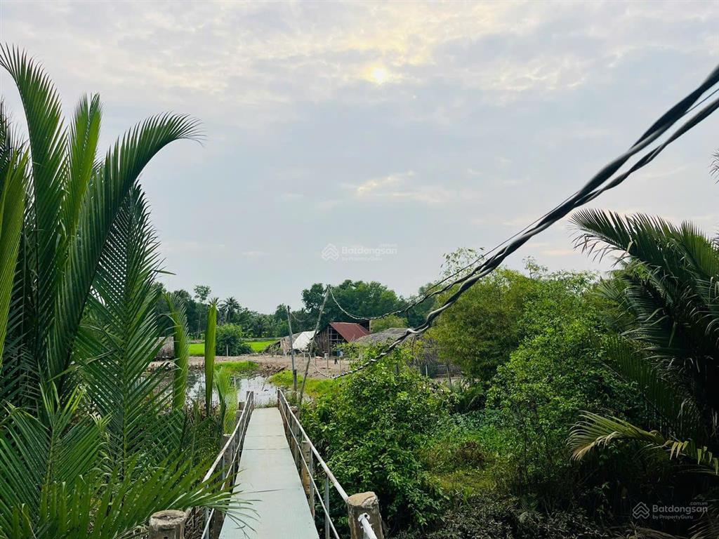 Cần bán 2500m2 đất nn  đối diện q9  quy hoạch đất ở  cách chợ tam an 500m  mua đầu tư cực tốt