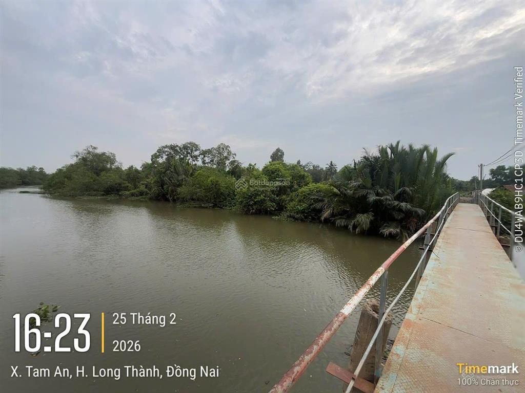 Cần bán 2500m2 đất nn  đối diện q9  quy hoạch đất ở  cách chợ tam an 500m  mua đầu tư cực tốt