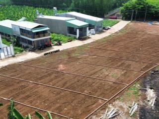 Cần bán 115m2 đất thổ cư hẻm bê tông 5m sát nguyễn hoàng và gần chợ sông trầu, chỉ 815tr