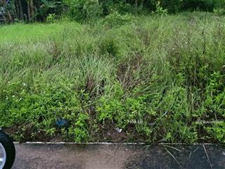 Bán nhanh đất chính chủ diên lạc gần chợ trường học