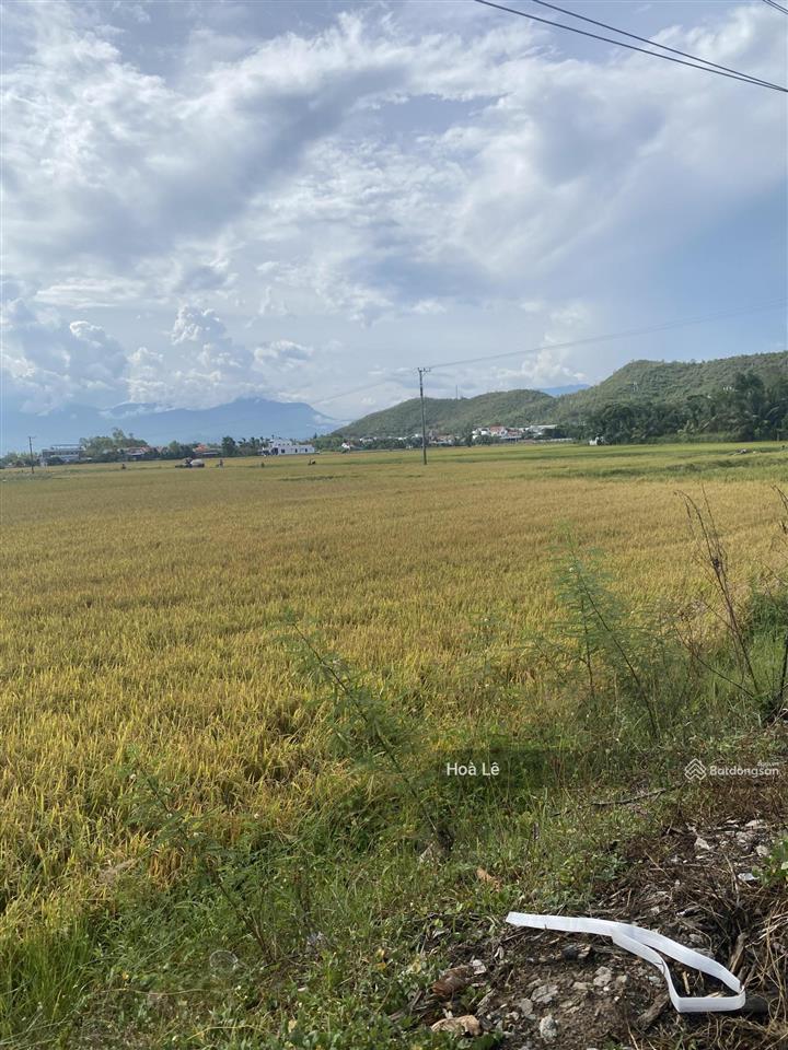 Bán đất chính chủ đường 2/4 ninh hiệp  ninh hoà