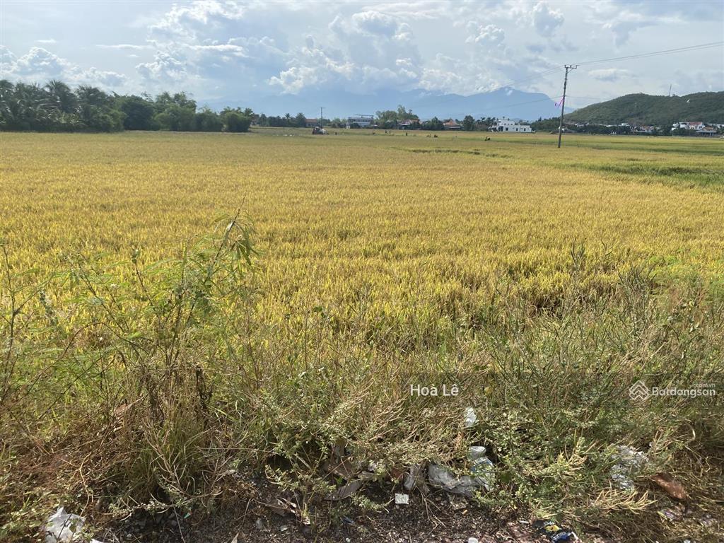 Bán đất chính chủ đường 2/4 ninh hiệp  ninh hoà