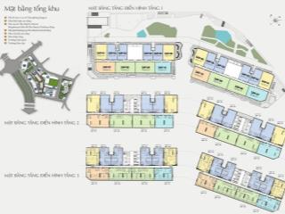 Shophouse chung cư 338m2 toà the diamond dự án tmo cho thuê được ngay