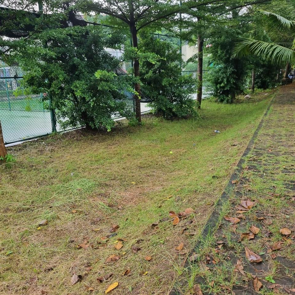 Cho thuê mặt bằng dạng sân vườn trần trọng cung, quận 7