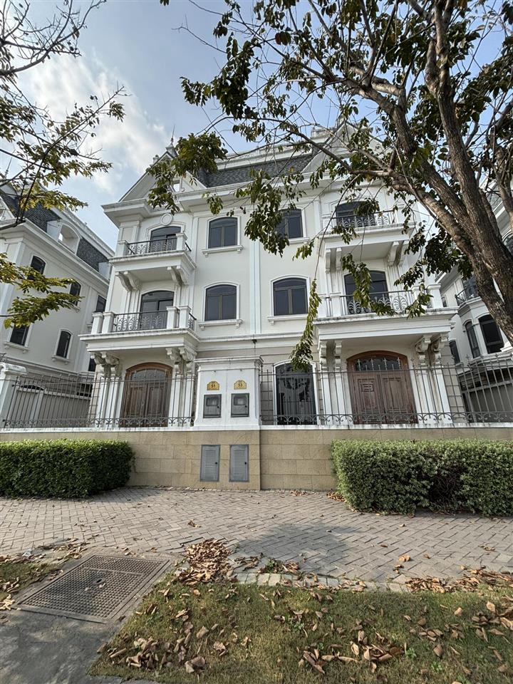 Cho thuê biệt thự song lập và đơn lập (thô)  diện tích 160m2  300m2