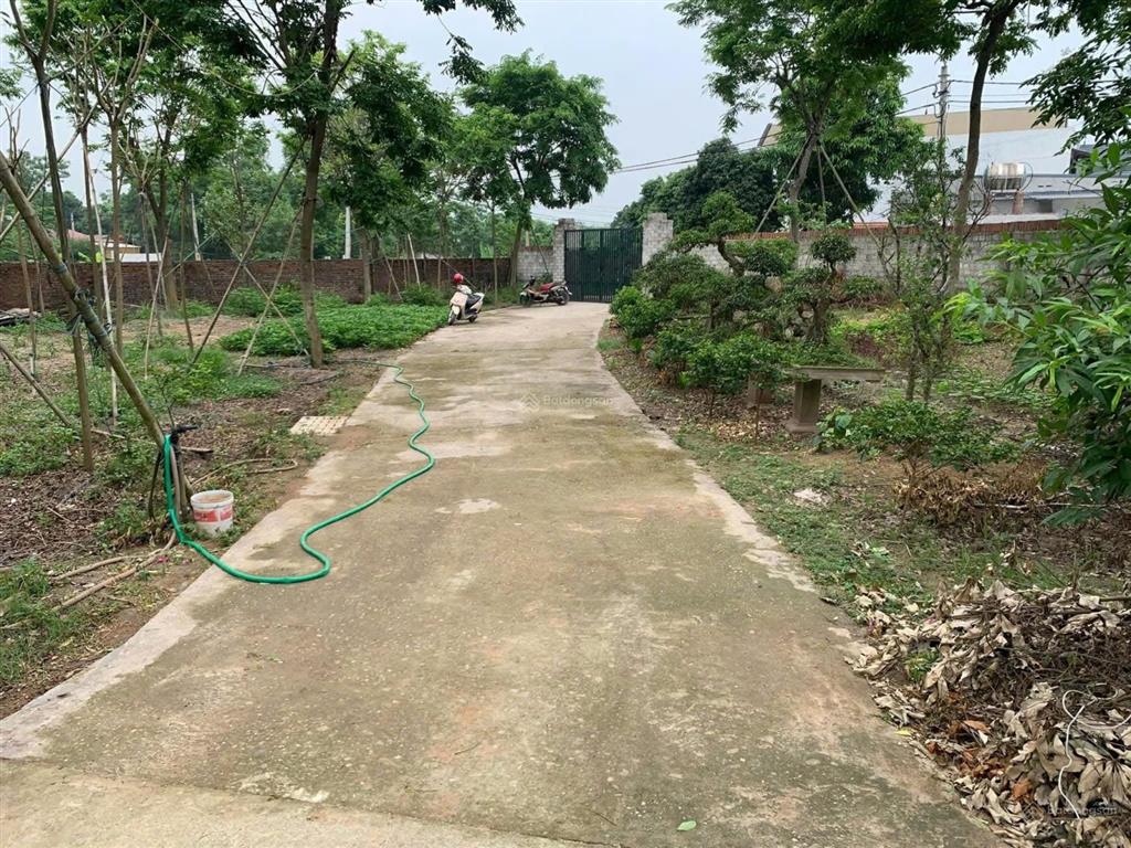 1150m2 view hồ nước đất thổ cư vườn