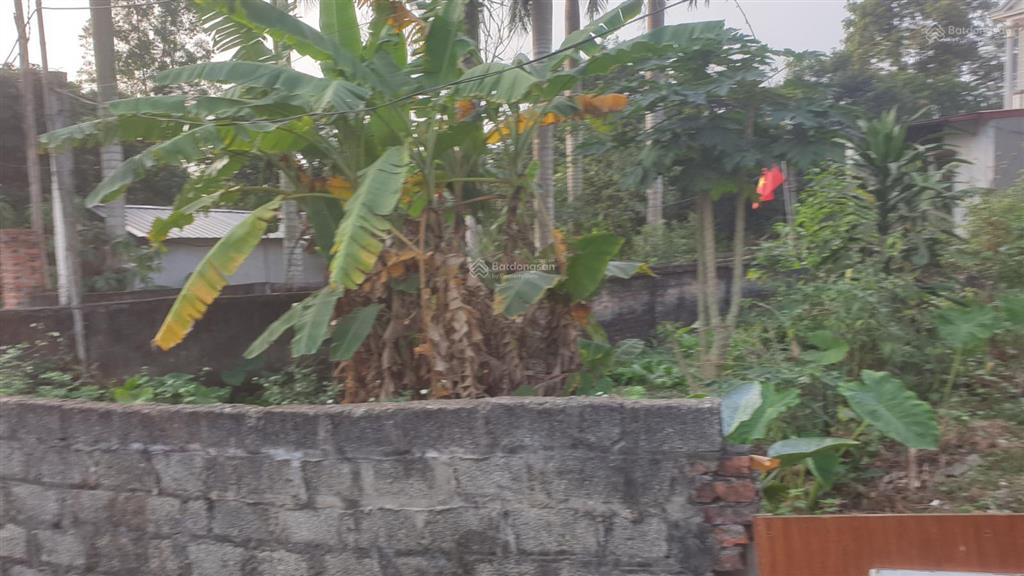 Hơn 1000m2 thổ cư tại khai quang vĩnh yên phù hợp nhà vườn /kho