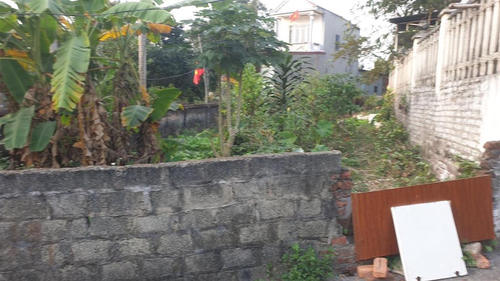 Hơn 1000m2 thổ cư tại khai quang vĩnh yên phù hợp nhà vườn /kho