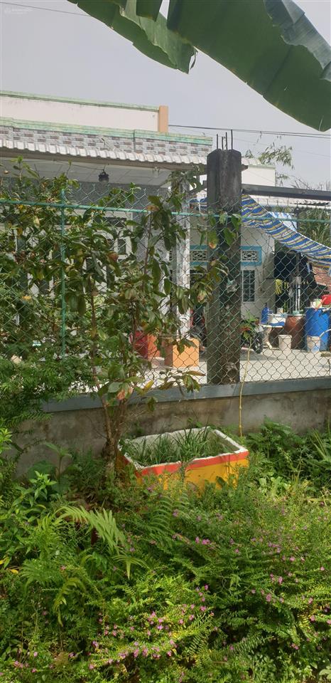 Bán nhà cấp 4 kèm sân vườn đường võ văn kiệt (cầu rạch cam)