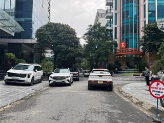 Bán đất chính chủ tu hoàng xuân phương hà nội