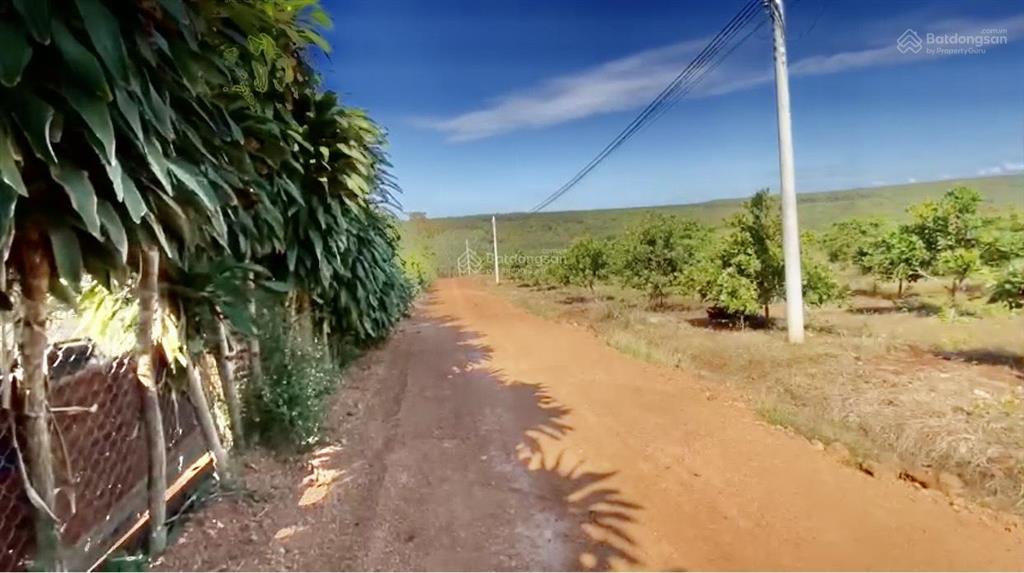 Bán đất 1 hecta có 500m2 thổ cư ccn bù nho 75 hecta  phú riềng đồng nai  cách đt 741 khoảng 200m