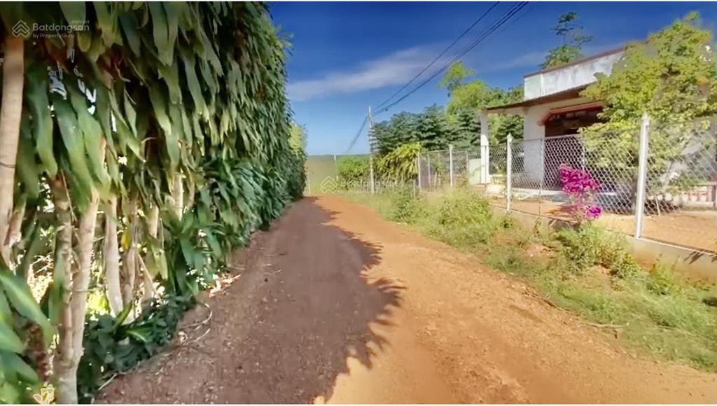 Bán đất 1 hecta có 500m2 thổ cư ccn bù nho 75 hecta  phú riềng đồng nai  cách đt 741 khoảng 200m