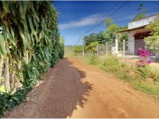 Bán đất 1 hecta có 500m2 thổ cư ccn bù nho 75 hecta  phú riềng đồng nai  cách đt 741 khoảng 200m