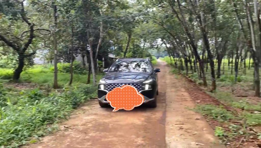 Bán 10.000m2 đất có 400m2 thổ cư 4 mặt tiền  cụm công nghiệp bù nho 75 hecta phú riềng  đồng nai