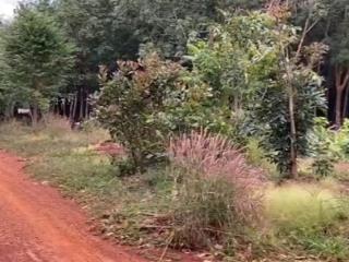 Bán 2,2 hecta đất skc (xây kho) kcn long tân 200m mặt tiền  phú riềng đồng nai  giá đầu tư