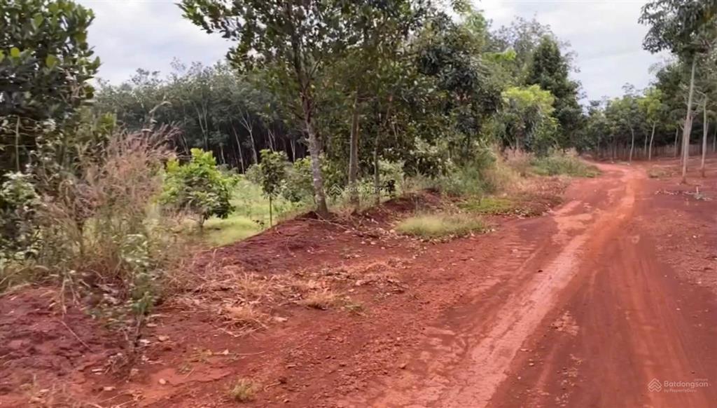 Bán 2,2 hecta đất skc (xây kho) kcn long tân 200m mặt tiền  phú riềng đồng nai  giá đầu tư