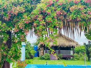 Cho thuê homestay đẹp ở đường phan văn đáng, nhơn trạch, đồng nai 25tr/tháng, 1137m2, hot hot!