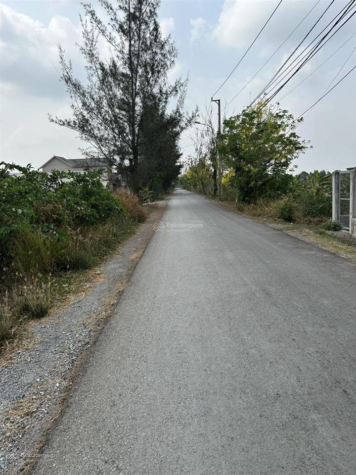Bán đất xã tân nhựt, diện tích 1000m2, giá 6 tỷ