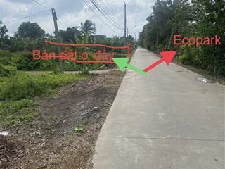 Bán nền thổ cư mặt tiền đường liên ấp 3  4, thanh phú, giáp ranh dự án ecopark