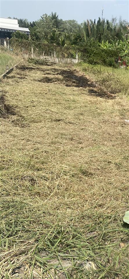 Bán nền thổ cư mặt tiền đường liên ấp 3  4, thanh phú, giáp ranh dự án ecopark