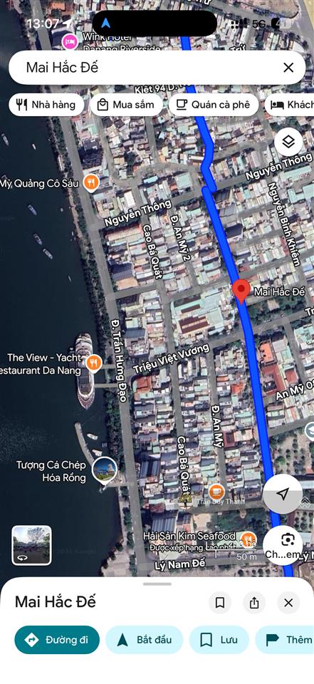 Chính chủ bán đất tặng nhà đường mai hắc đế 100m vuông vắn