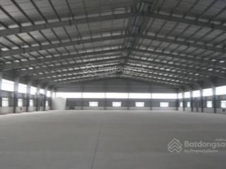 Cho thuê kho xưởng 4000m (chia nhỏ từ 1000m trở lên) tại tam nông, phú thọ