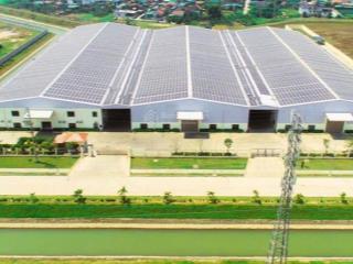 Cho thuê 13.000m (chia từ 1000m) tại yên mỹ, làm kho xưởng