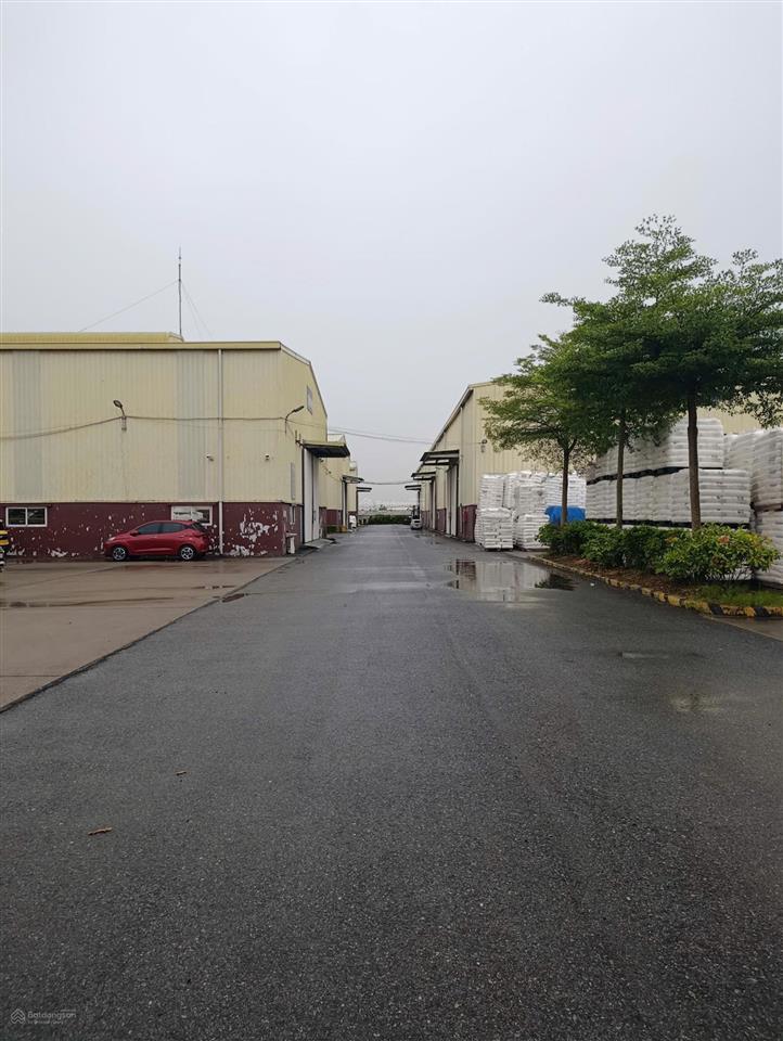 Cho thuê kho 5004000m kcn thanh oai (cắt lẻ 500m trở lên)