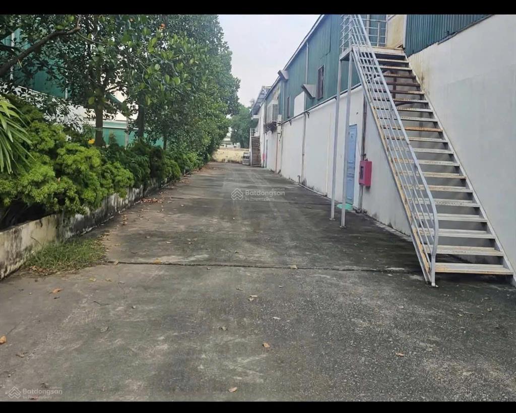 Cho thuê kho gia lâm 2000m (cắt lẻ theo yêu cầu 240m trở lên)