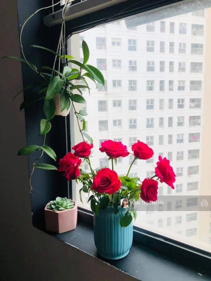 Bán 2n2vs 65m2 cc xuân mai , 3.8x nhà full đẹp như hình