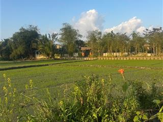 View lúa diện tích nhỏ , hàng hiếm , view cực đẹp, thoáng mát gần biển gần phố cổ