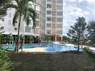 Căn hộ 3pn 138m² terra rosa, mt nguyễn văn linh, khu dân cư 13e, xã phong phú, huyện bình chánh