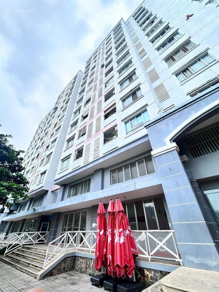 Chung cư bông sao  ngay tạ quang bửu p5 q8  50m2  sổ hồng riêng  chung cư thang máy