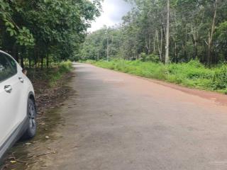 Bán đất qh đã tô màu skc, dt 10 ha, quá rẻ 8 tỷ/ha x tân định, bắc tân uyên. điện 3fa cont 40f đi