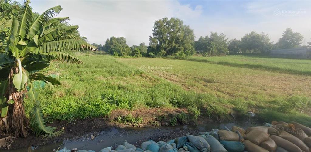 Bán 60.000m đất mặt tiền bến than củ chi, phù hợp trang trại, đầu tư nhà xưởng