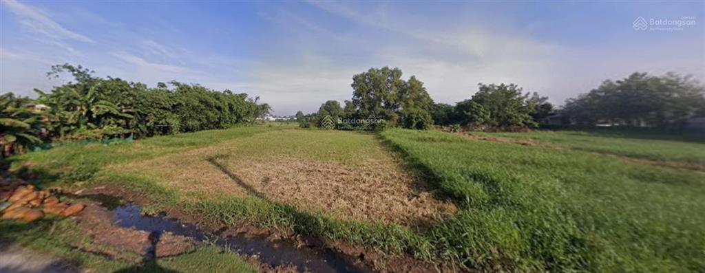 Bán 60.000m đất mặt tiền bến than củ chi, phù hợp trang trại, đầu tư nhà xưởng